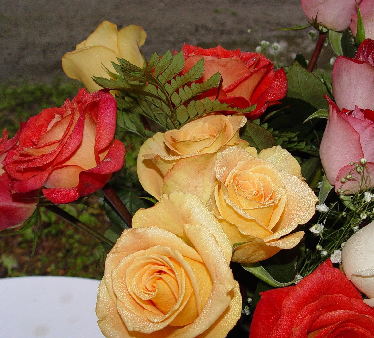 A bunch of different colored roses are sitting on a table