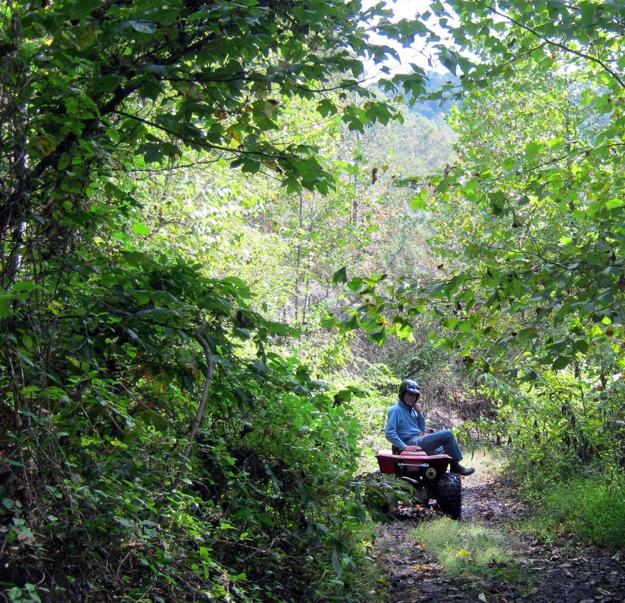 A man sits on a red cart in the woods