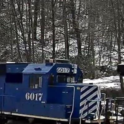 A blue train is going through the woods on a snowy day.
