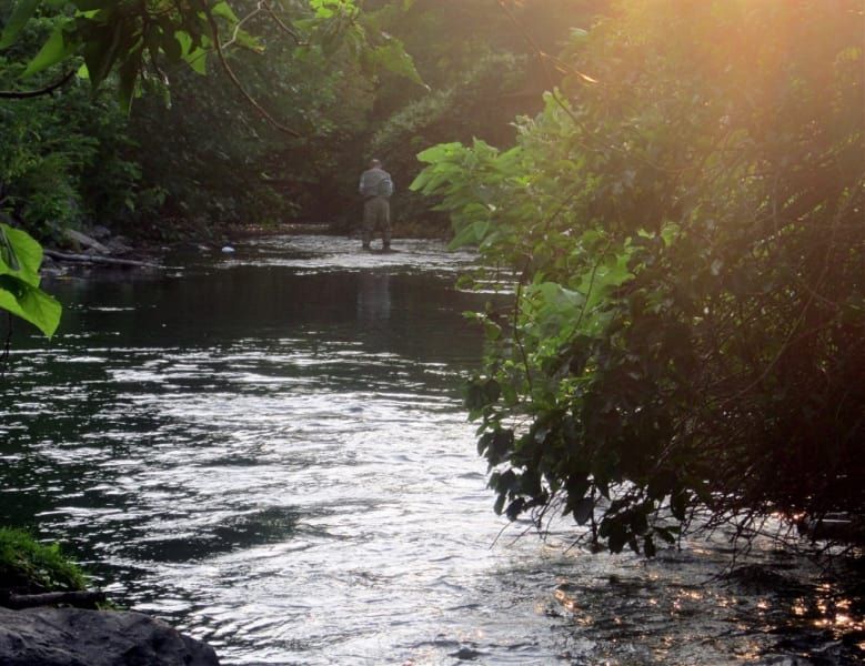 A man is walking across a river in the woods