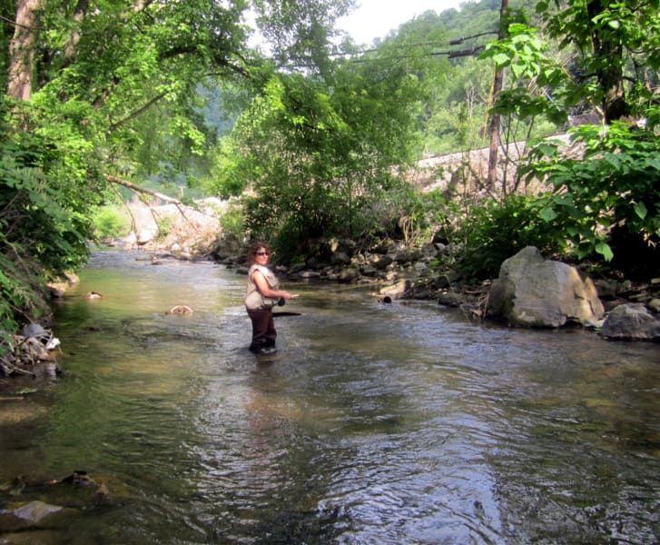 A woman is fishing in a river surrounded by trees