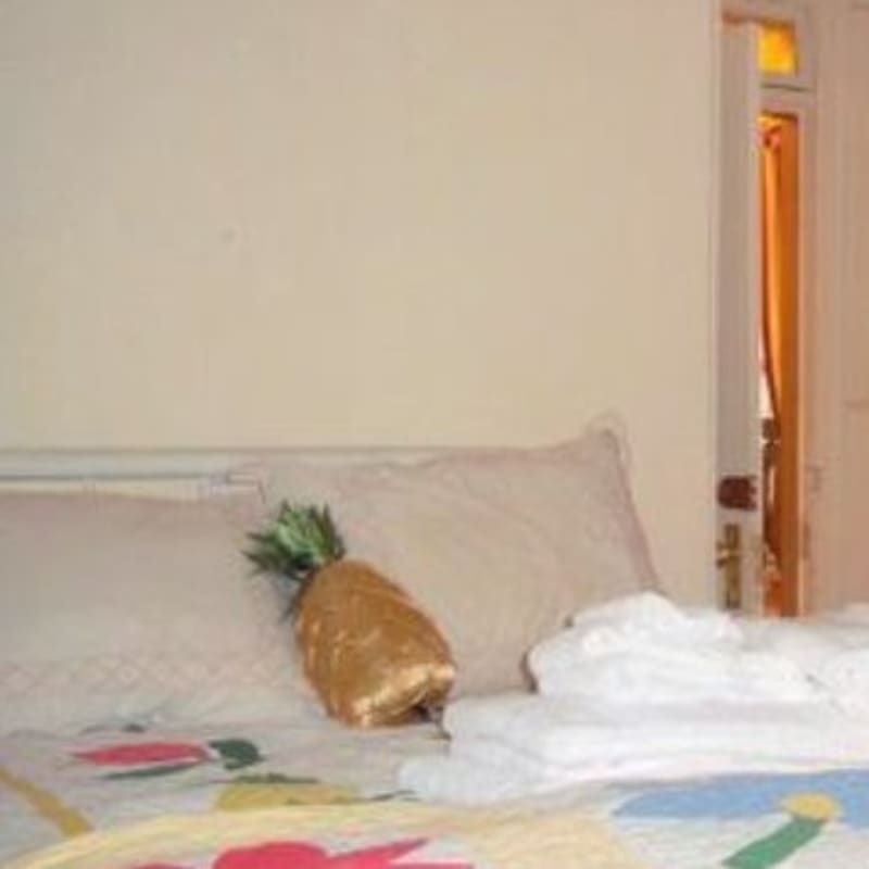 A bed with a pineapple pillow on it