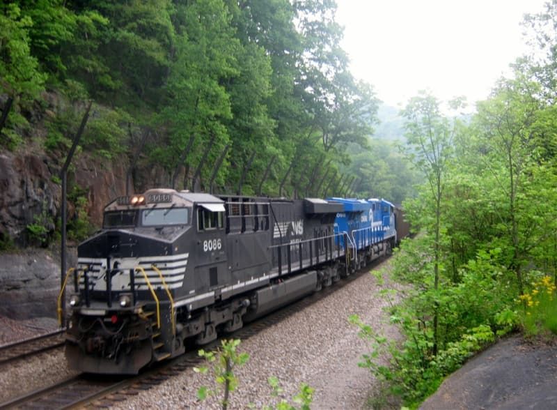 A train is going down the tracks in the woods.