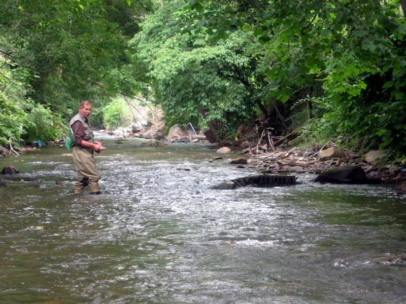 A man is fishing in a river surrounded by trees