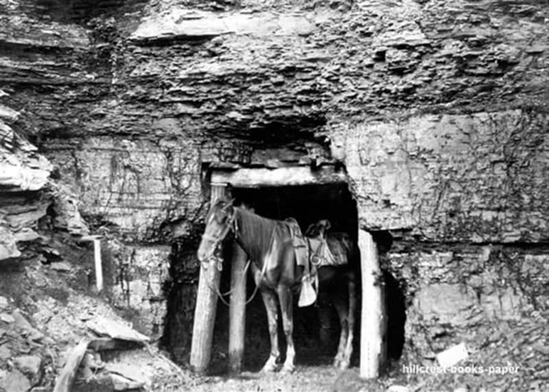 A black and white photo of a horse in a cave.