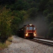 A train is going down the tracks in the woods at night.