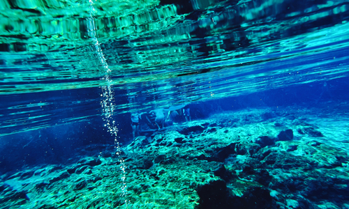 Lush garden with a lake, wooden bridge, and vibrant pink and green foliage under a clear blue sky.