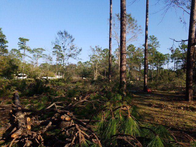 Lot Clearing