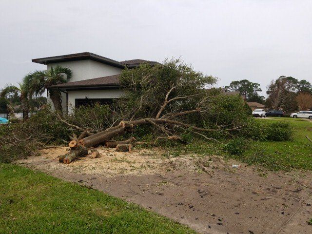Emergency Tree Cutting
