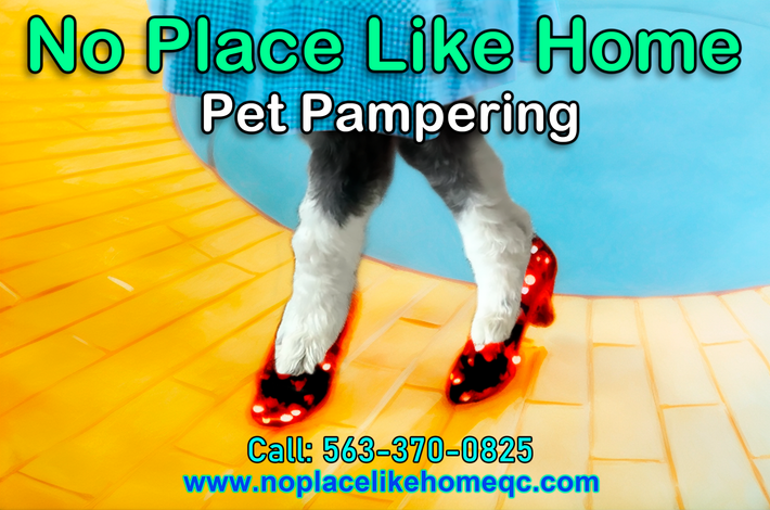 No Place Like Home Pet Pampering