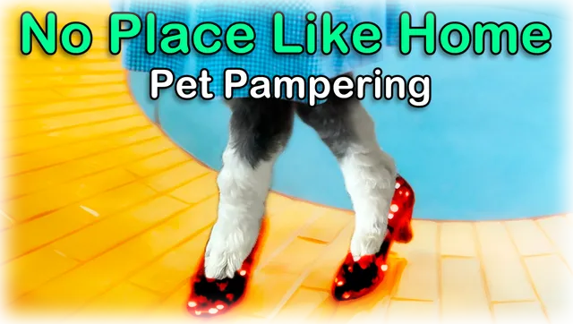 No Place Like Home Pet Pampering