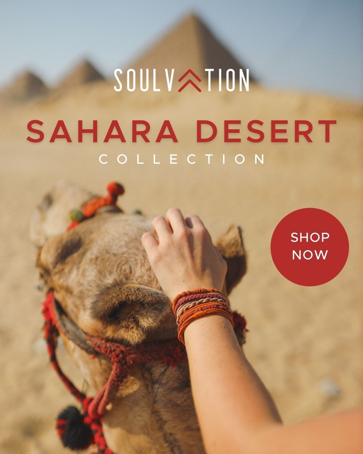 A woman petting a camel in the desert with pyramids in the background