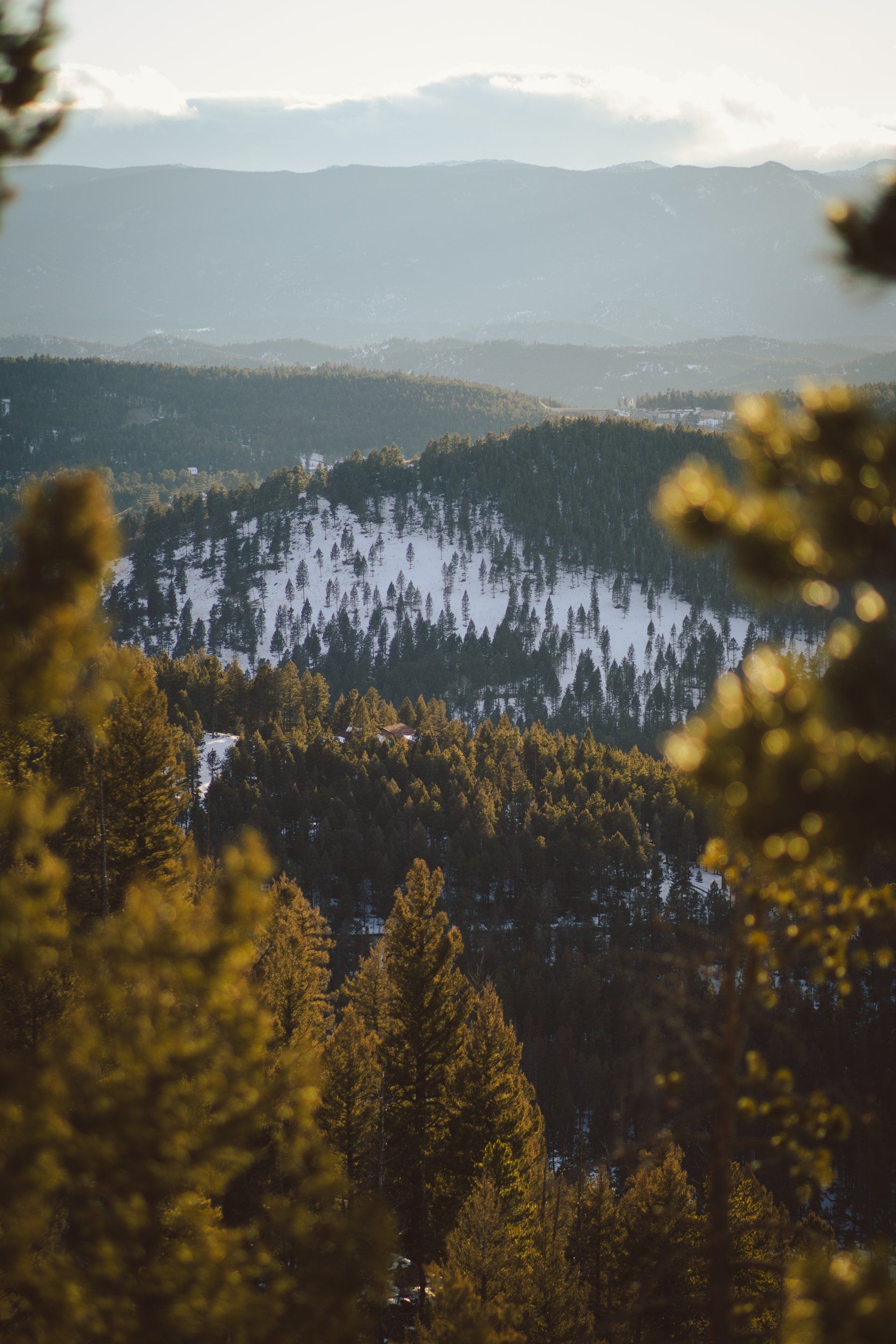 A view of a snowy mountain range through the trees.