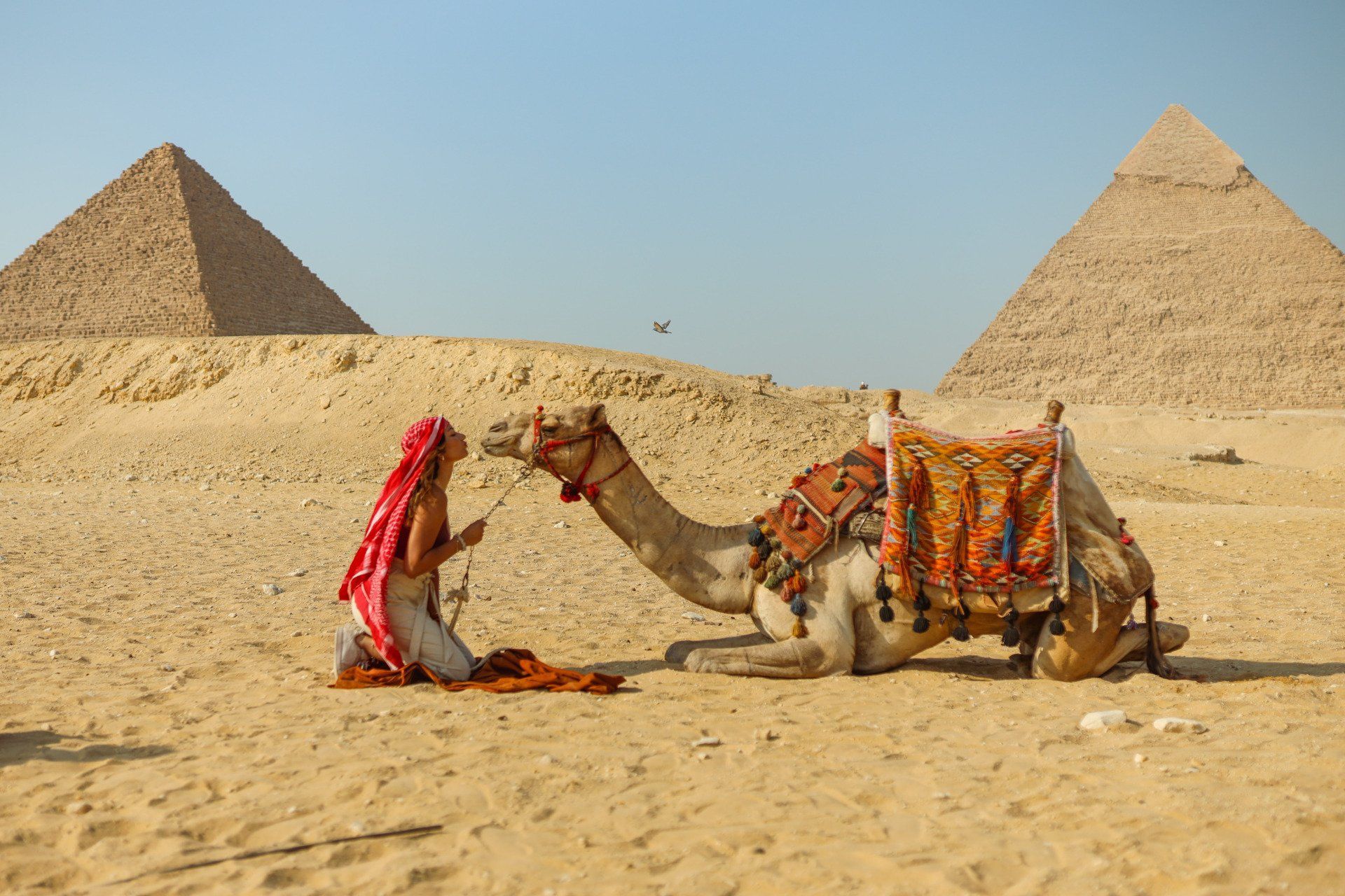 A man is kneeling next to a camel in front of two pyramids in the desert.