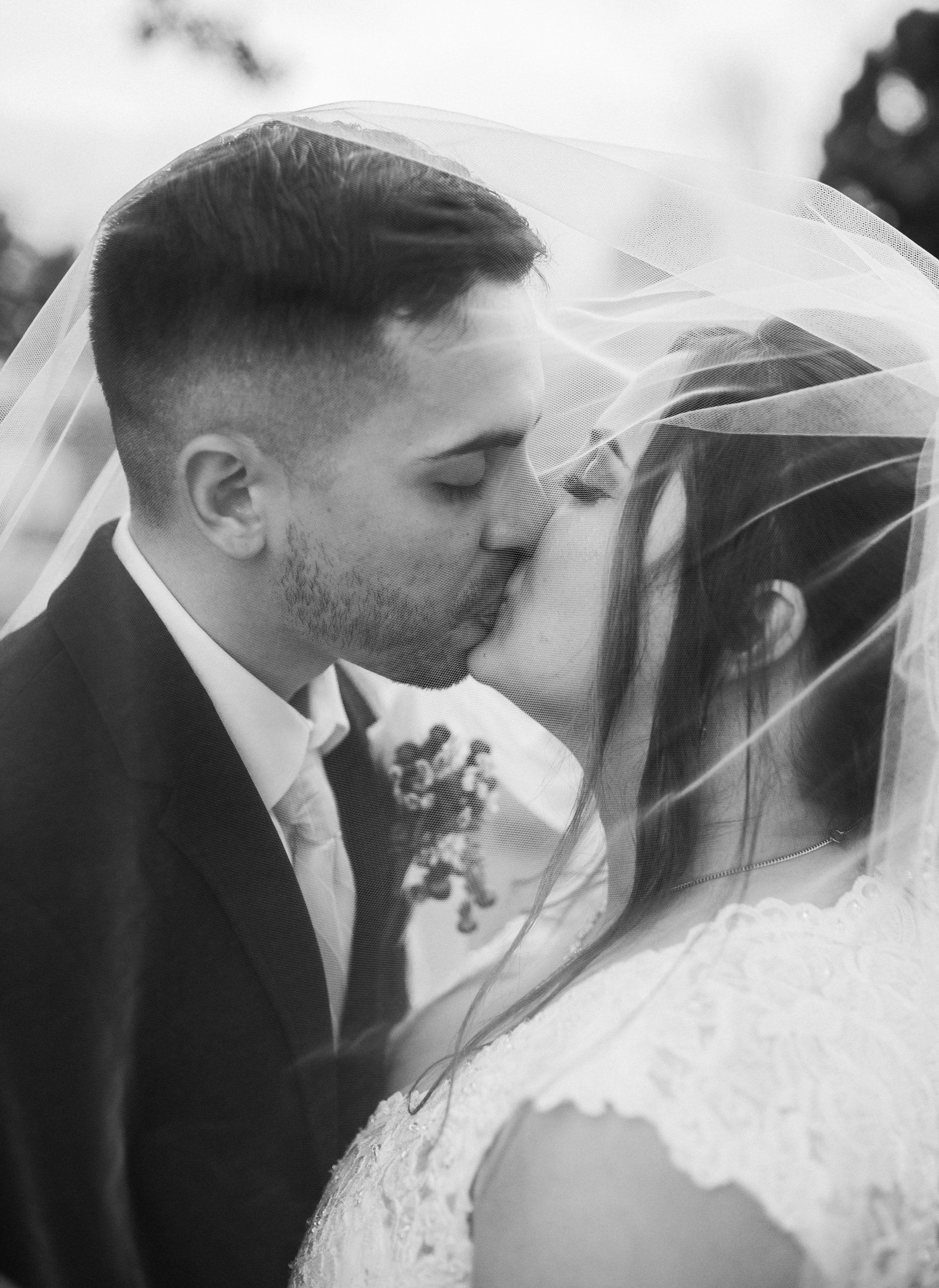 A bride and groom are kissing under a veil.