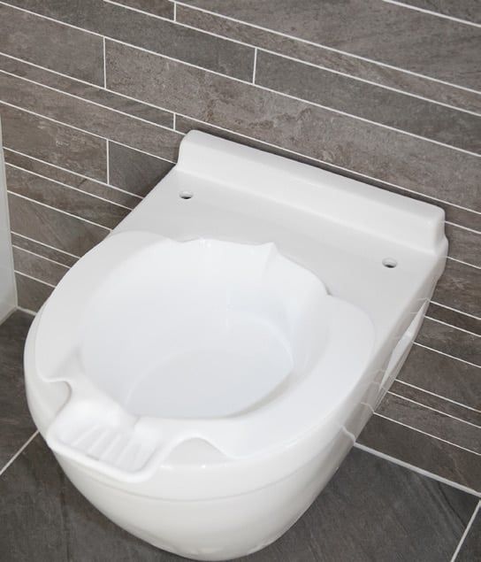 Bidet Bowl in bathroom