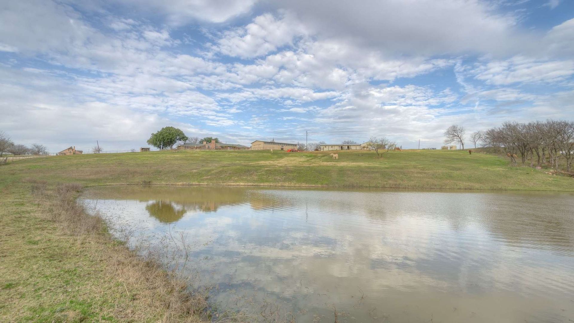 A small pond in the middle of a field with a house in the background.