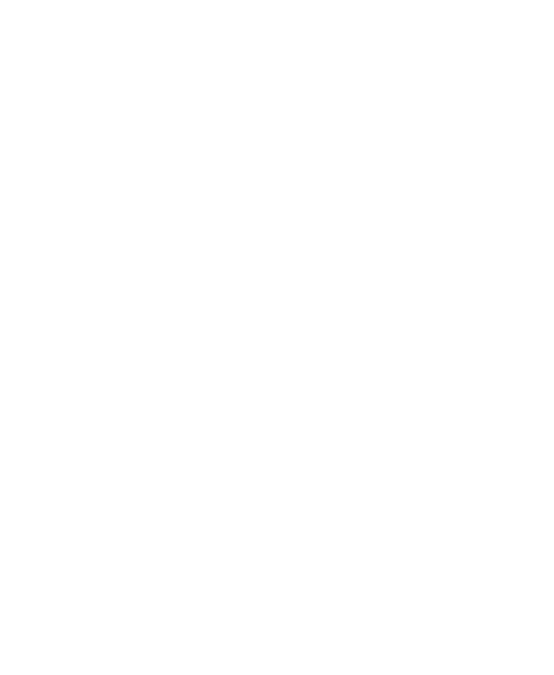 Nola Sky logo