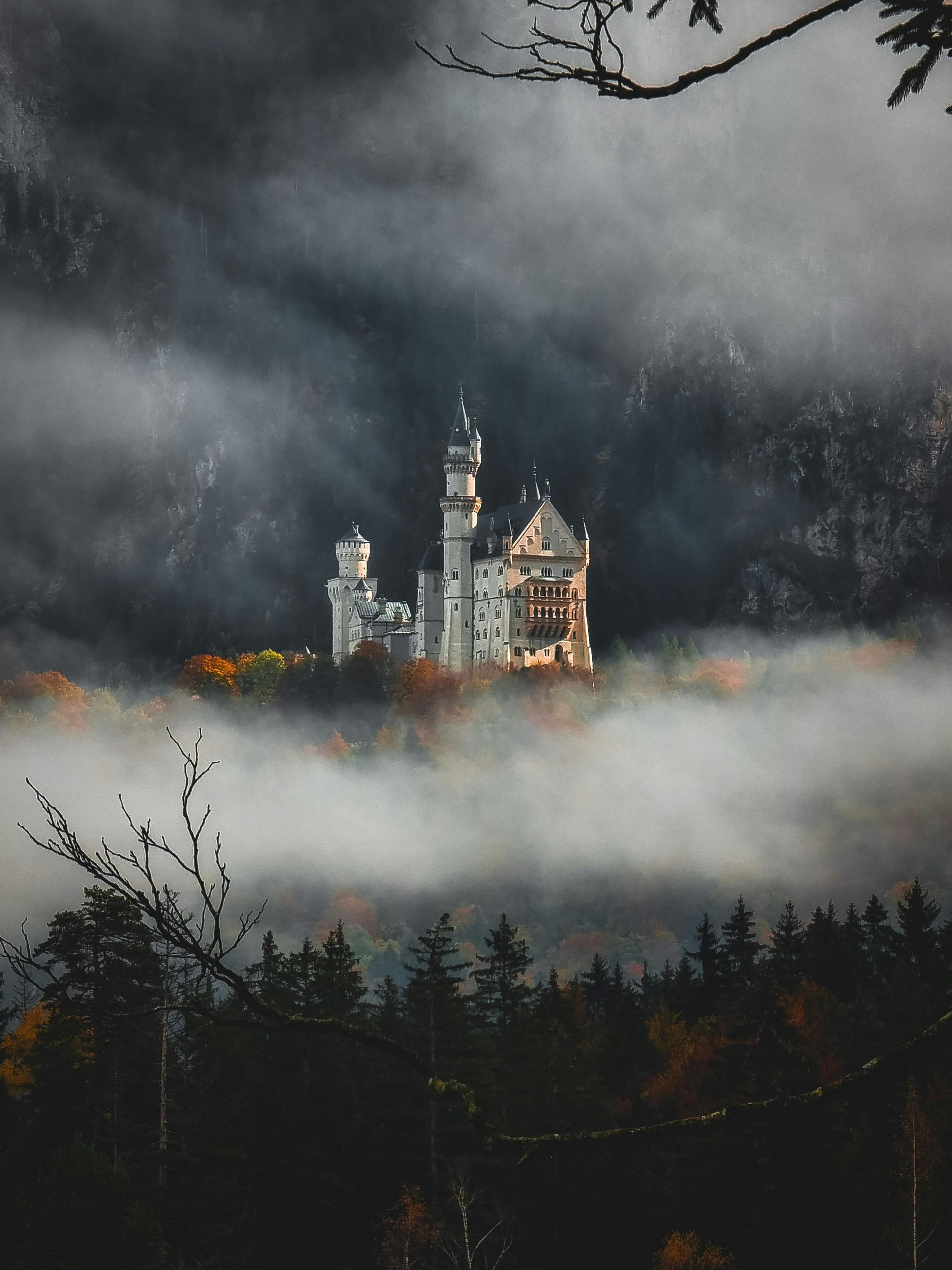 Fantasy-themed river cruise along the Rhine with castles and legends