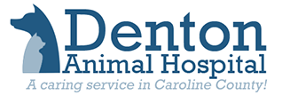 Denton Animal Hospital