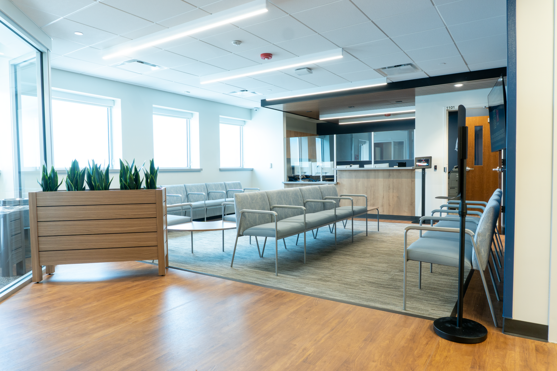 Absolute net medical Vivent Health interior with light wood floors, gray chairs, plants, reception desk, windows.