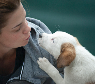 Woman leans towards a white and brown puppy, about to kiss it. The dog reaches up with a paw.
