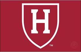 Hanna Stotland’s Unconventional Path as a College Consultant