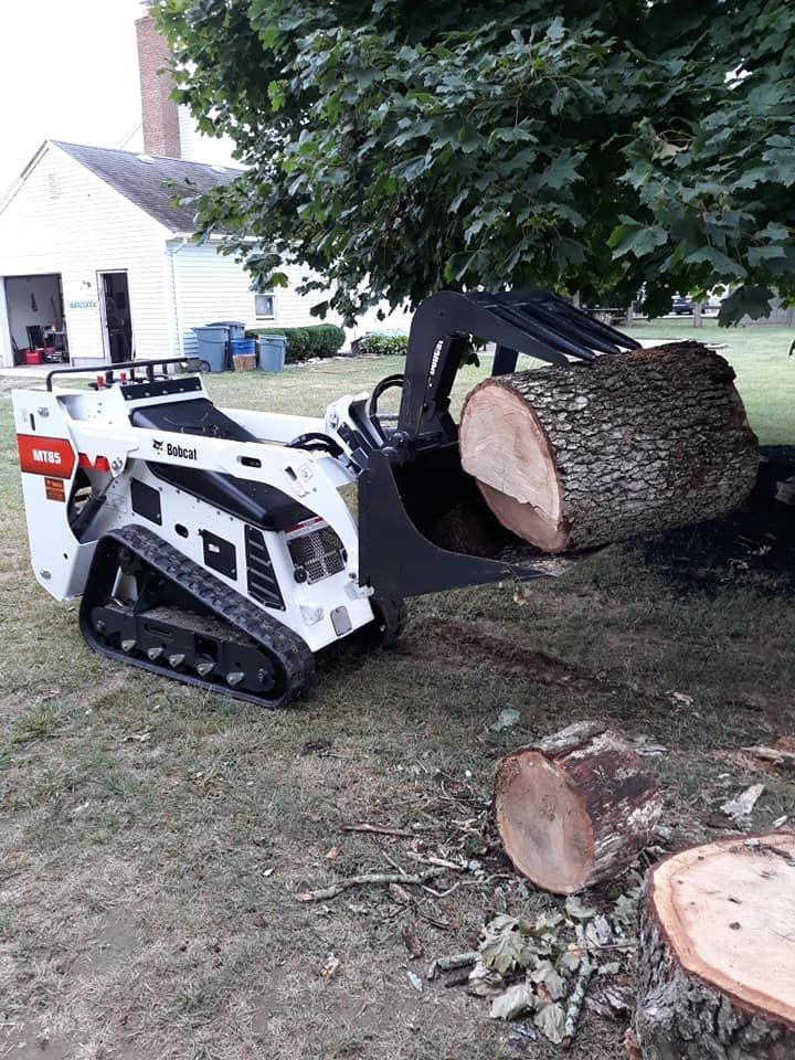 Suffolk Tree Work LI Top Rated Tree Service Suffolk County, New York