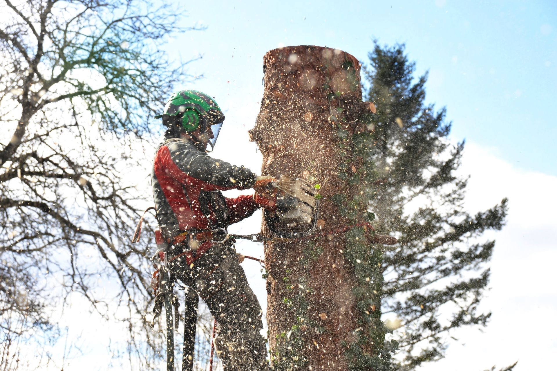 Arborist cutting a tree trunk with a chainsaw, sawdust flying, wearing safety gear against a blue sky.