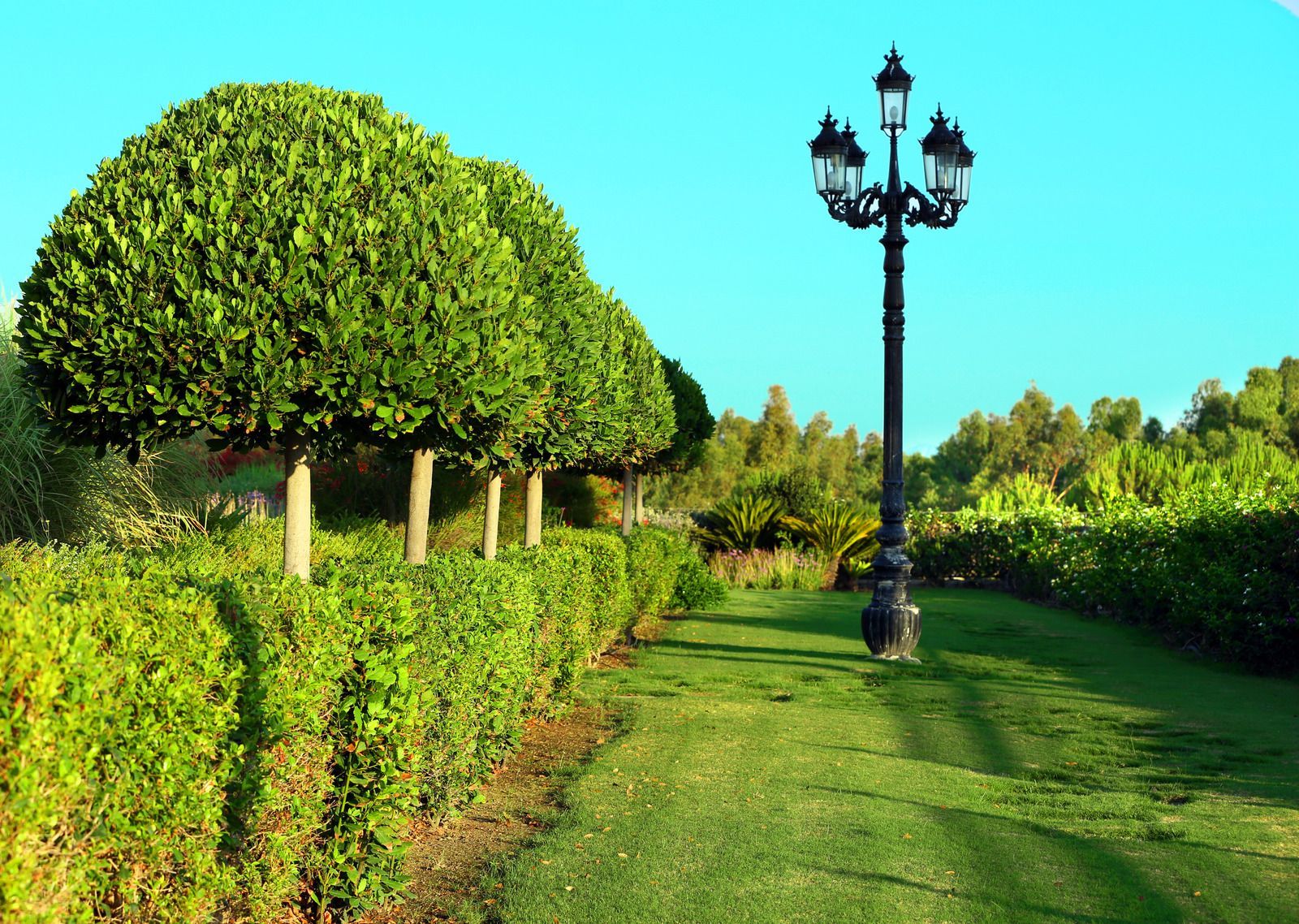 Green manicured garden path, trees, and hedges with a decorative lamppost against a bright blue sky.