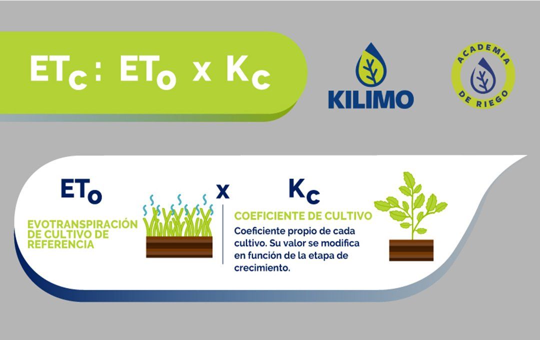 Fórmula de coeficiente de cultivo en riego (KC)