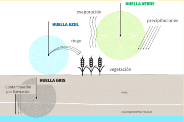 huella hídrica en cultivos bajo riego
