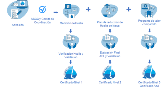 Etapas del Certificado azul de Chile