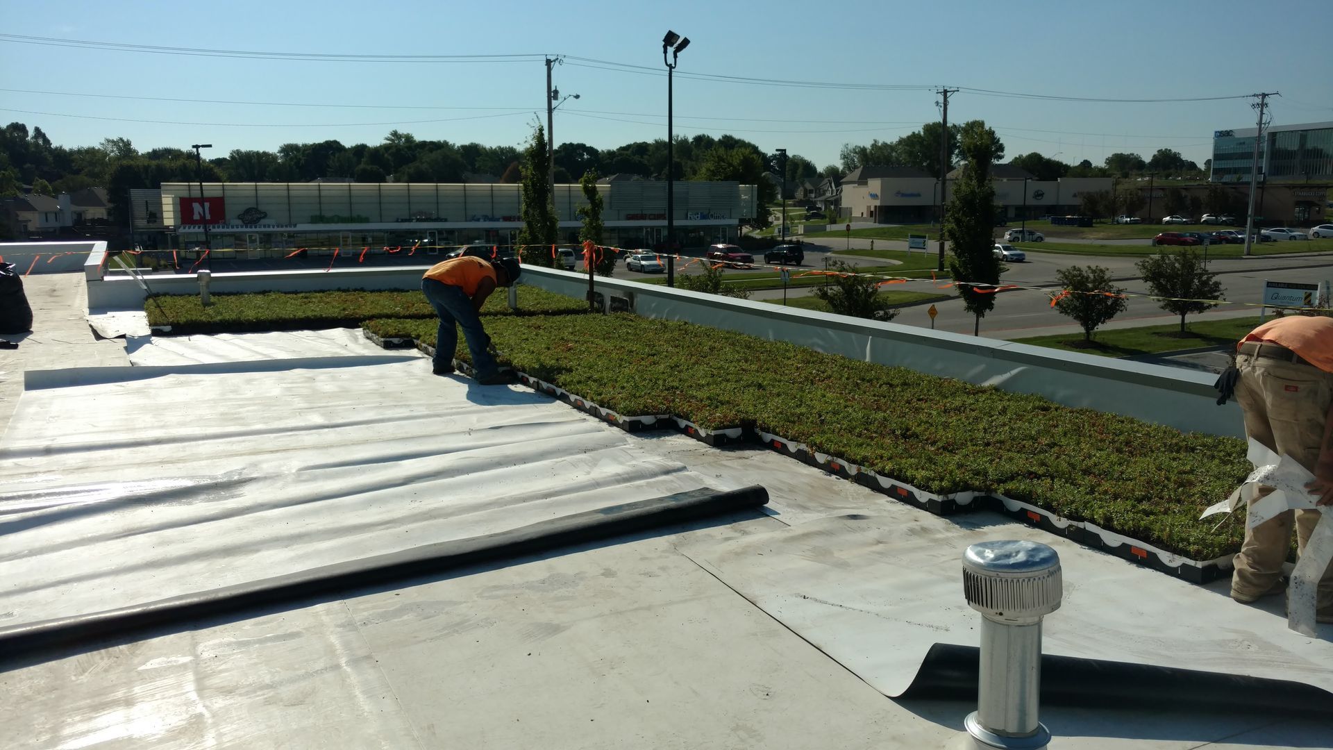 Workers installing a green roof system of sedum trays on a flat commercial building rooftop on a sunny day.