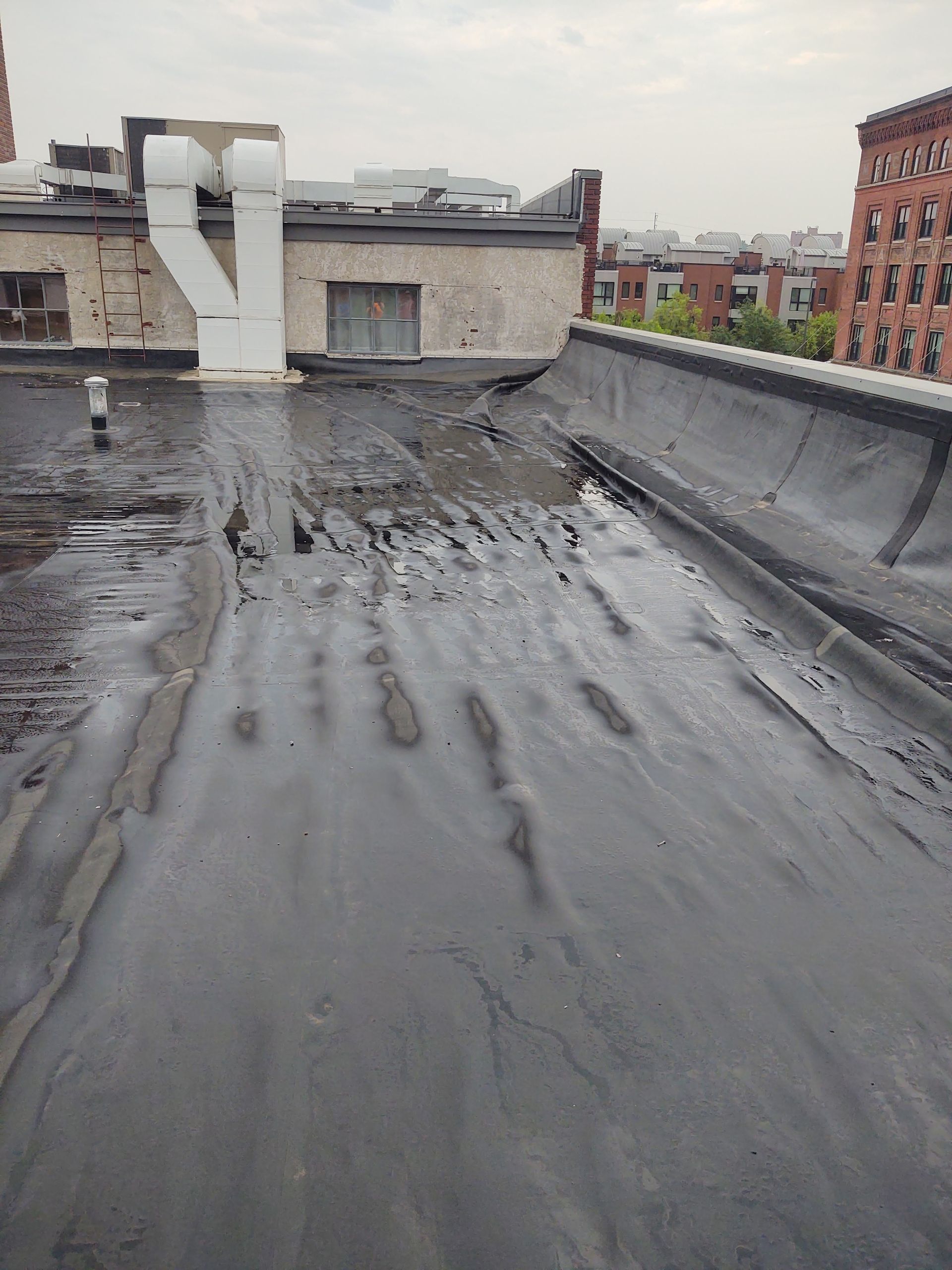 A flat, dark, worn commercial roof with standing water, white vent stacks, and brick buildings in the background.