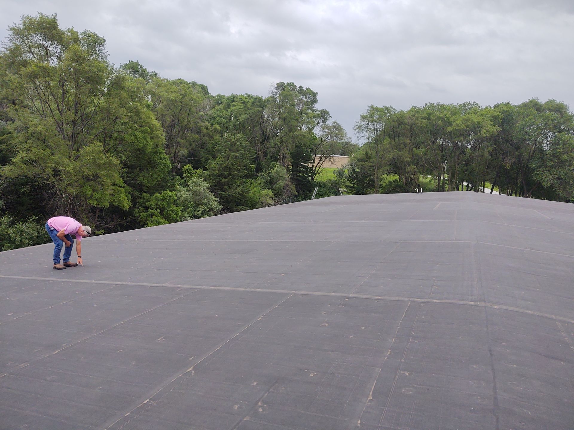 A person in a pink shirt inspects a large, flat, dark-colored roof surrounded by trees on a cloudy day.