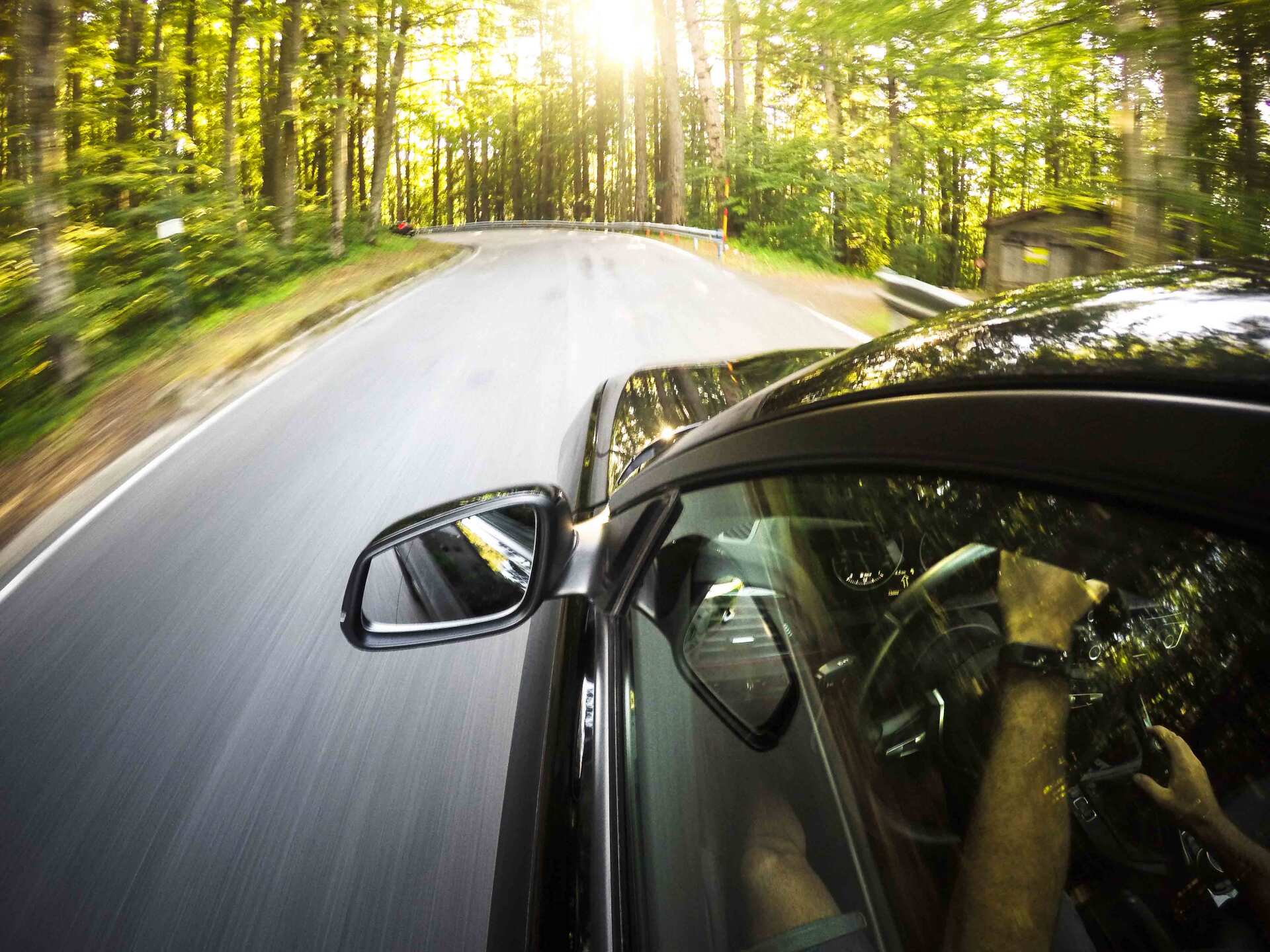 Driving Fast On The Forest — San Bernardino, CA — Best Price Auto Glass