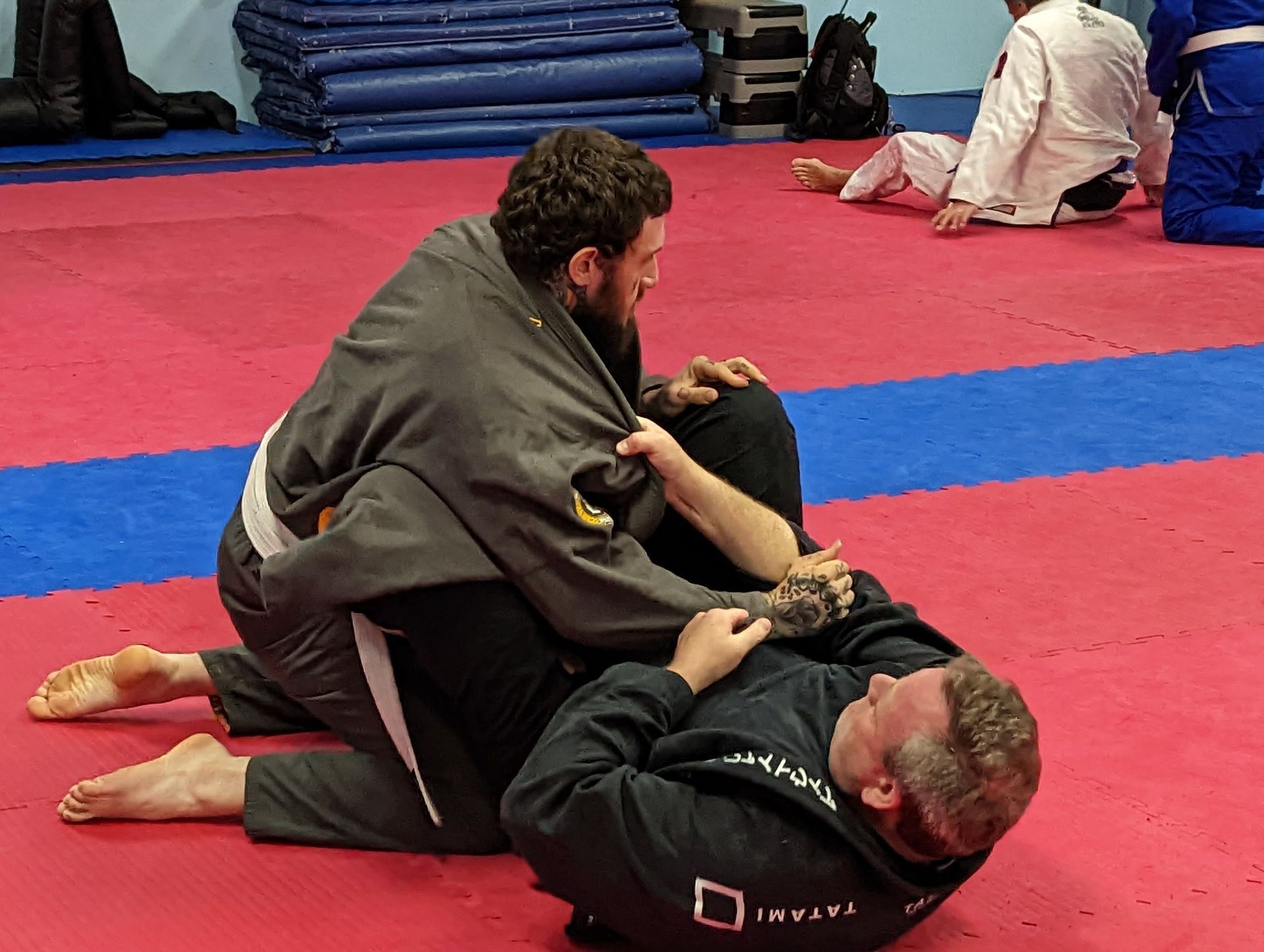 adult bjj