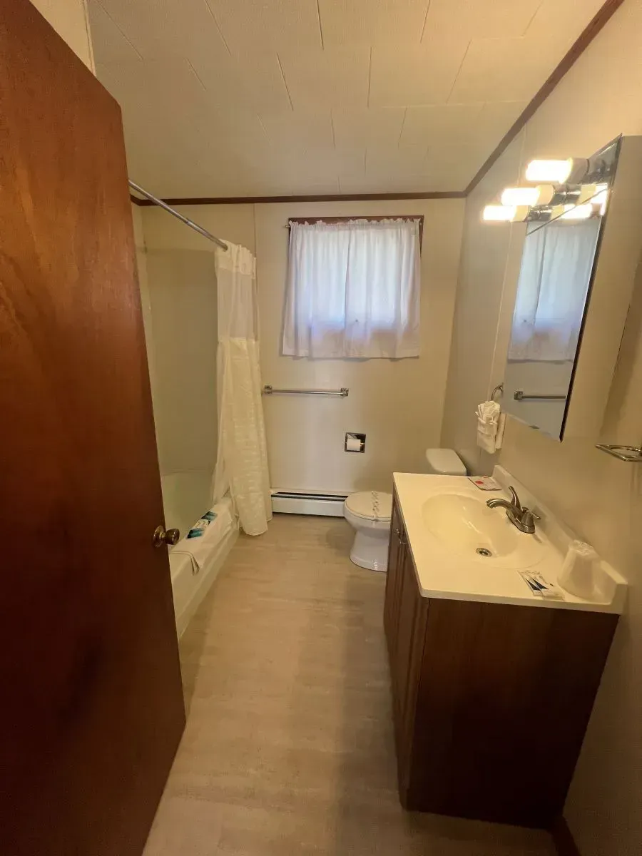 A bathroom with a sink , toilet , shower and mirror.