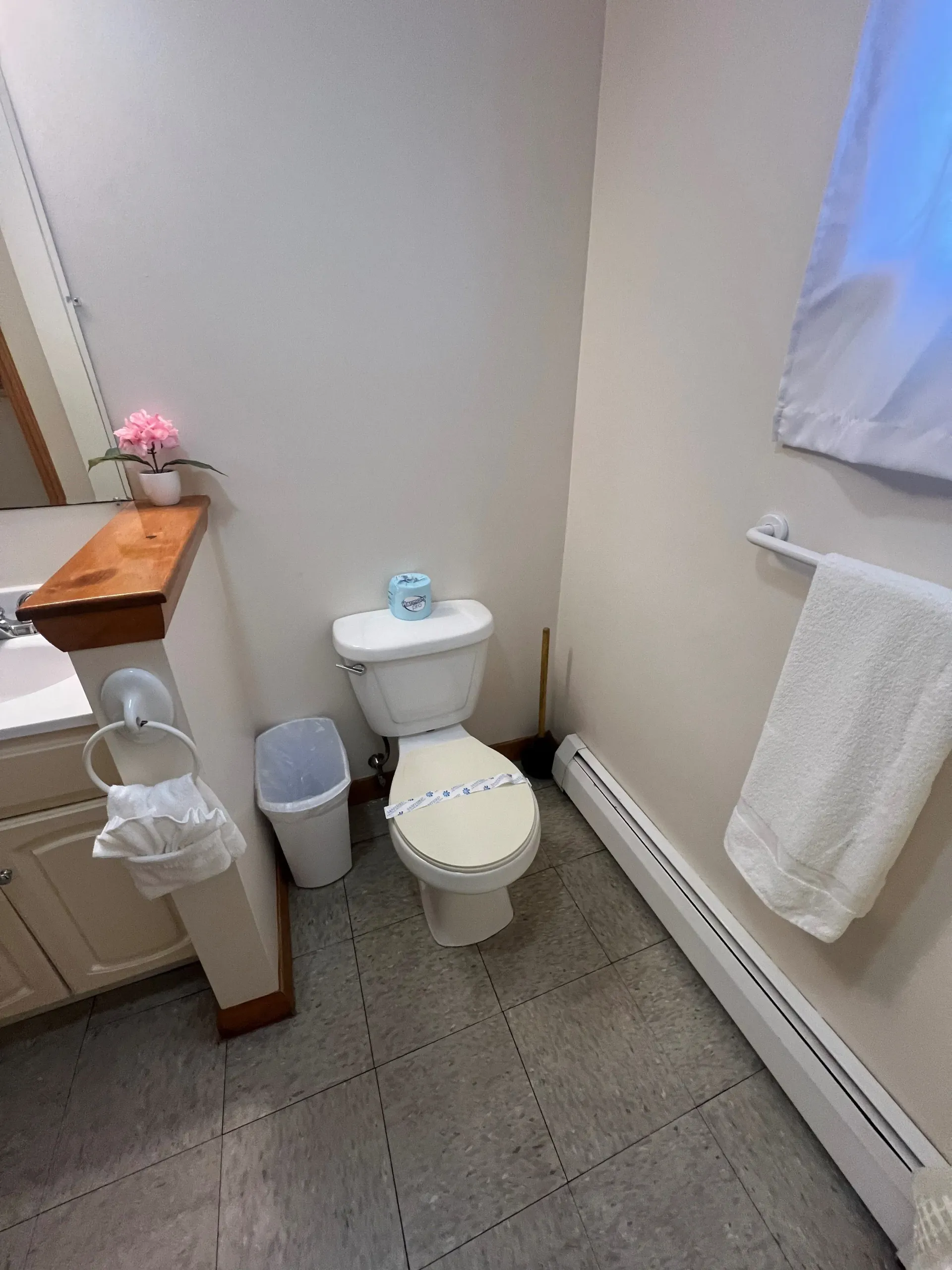A bathroom with a toilet , sink and mirror.
