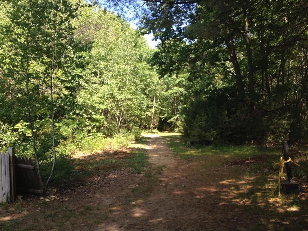 A dirt road going through a forest with trees on both sides.
