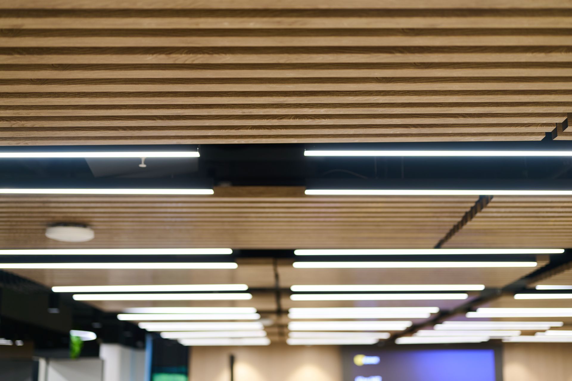 Wooden slatted ceiling with linear LED lights.