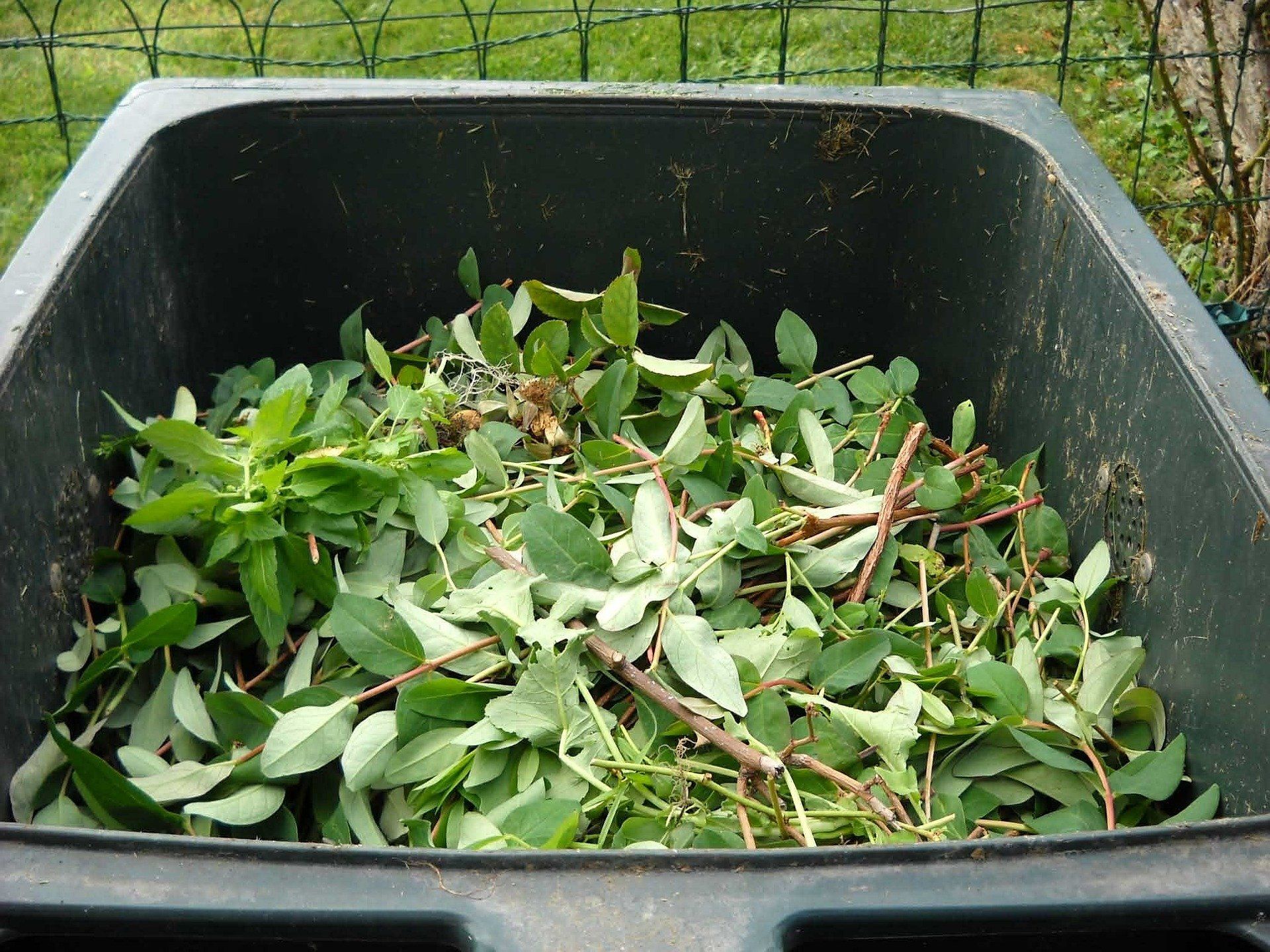 Green waste bin