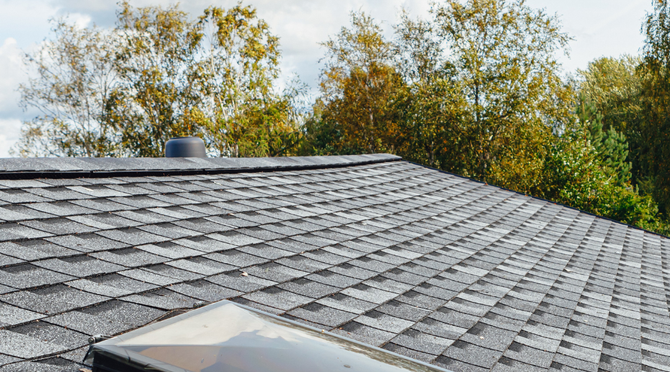 asphalt shingle roof