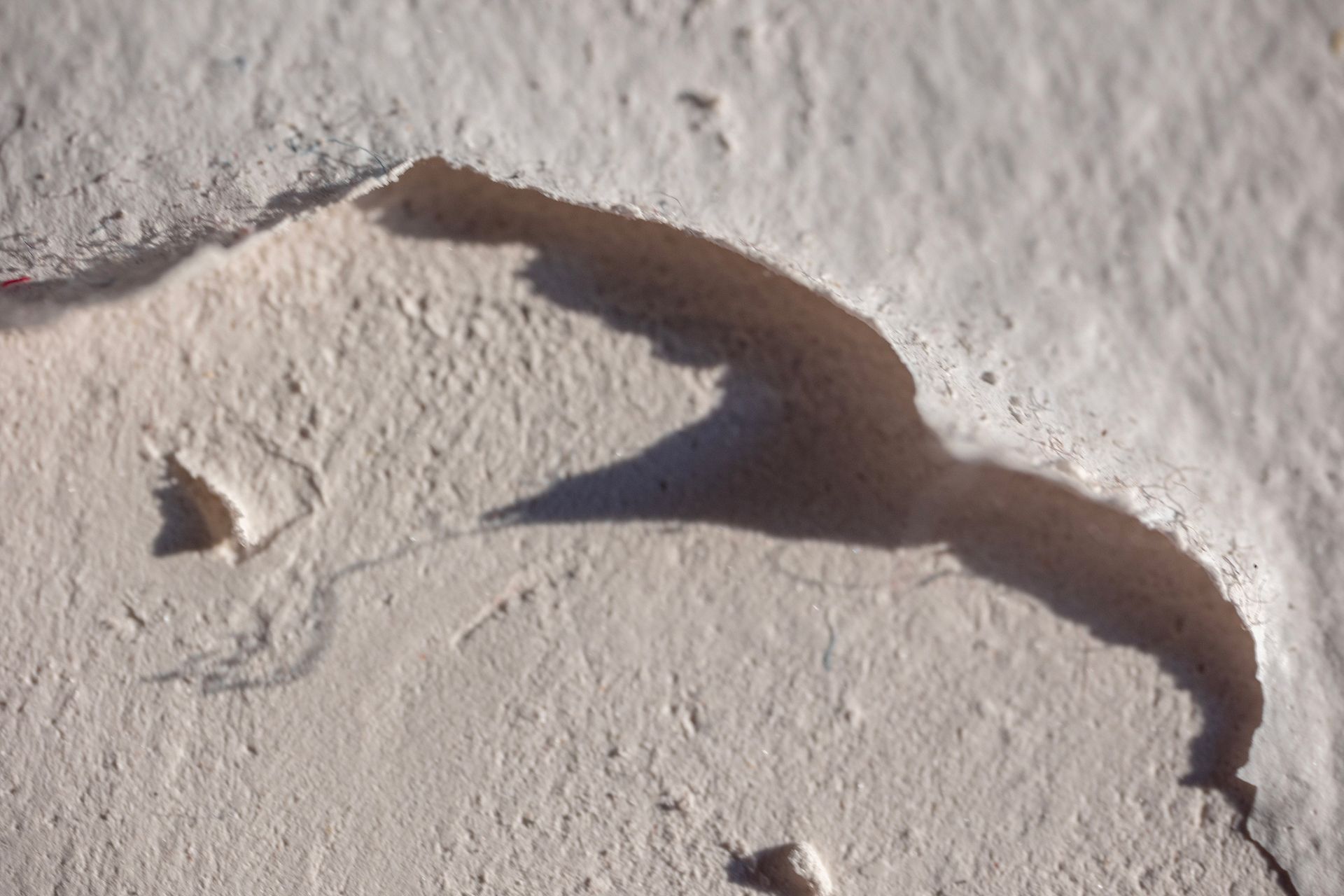 Close-up of textured white wall with a dark, curved shadow running through it. Close-up of textured white wall with a dark, curved shadow running through it.