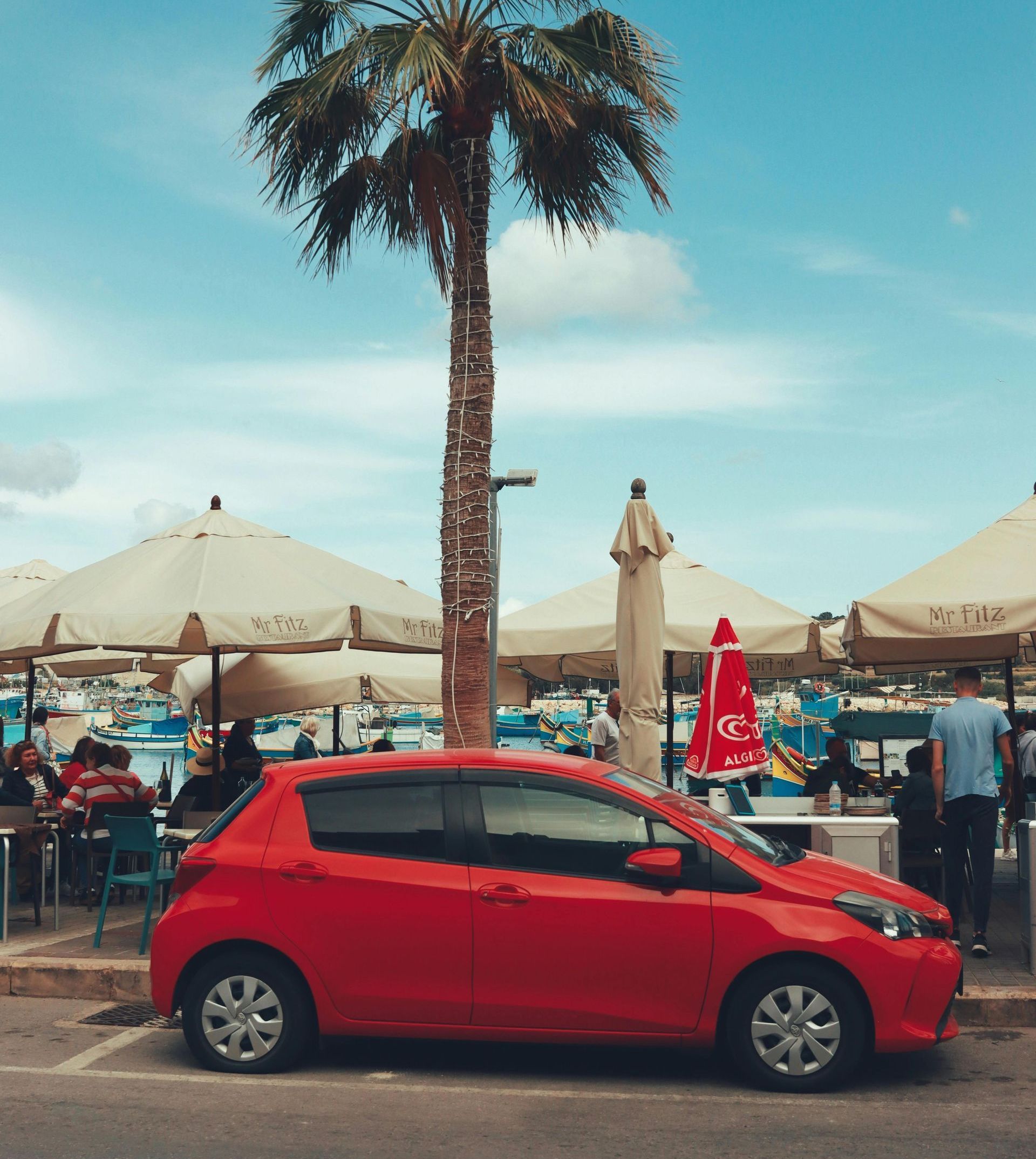 A red car is parked next to a palm tree