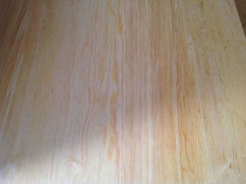 Pannello di legno di pioppo