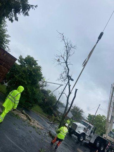 Tree Fall Down After Storm — Columbus, OH —  JJs Family Tree Service, LLC