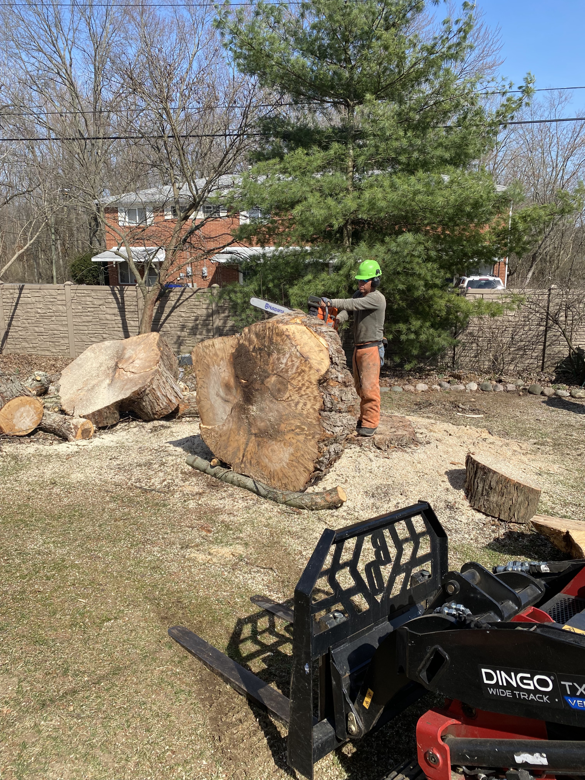 Tree Branch Removal — Columbus, OH —  JJs Family Tree Service, LLC