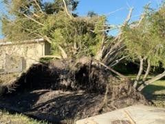 Cleanup From Hurricane Milton - Columbus, OH - JJ's Family Tree Service